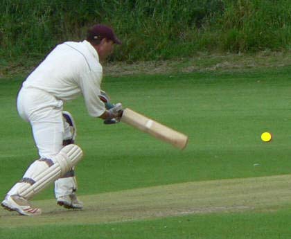 batting - normal vision with yellow ball