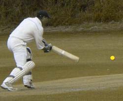 batting - red green colour blind with yellow ball