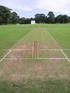 Name that wicket ?